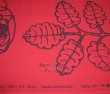 画像3: [日本未入荷] Marimekko マリメッコ MAALAISRUUSU マーライスルース レッド × ブラック (3)